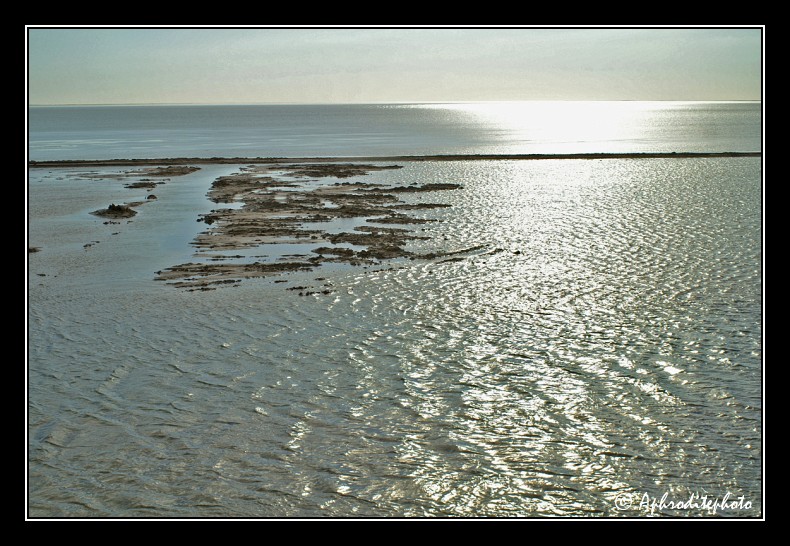 175 Le Chott El Jerid, un immense lac dans une mer de sable